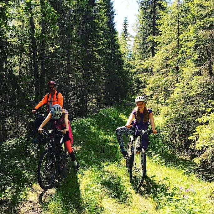 Idyllisk Smabruk Villa Landsem Екстериор снимка